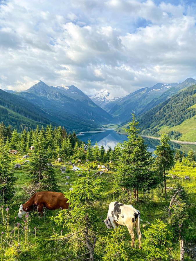 Schmezlhof Daire Zell am Ziller Dış mekan fotoğraf